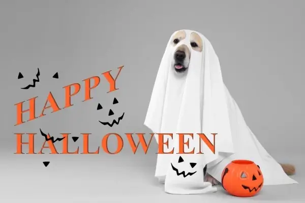 Happy Halloween from Alliance Mortgage Group, LLC